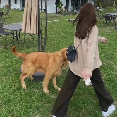 伴随贝多芬起舞